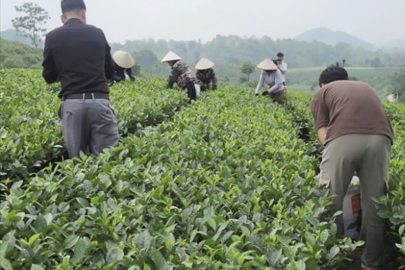 적용 전 (2025년 4월 22일)