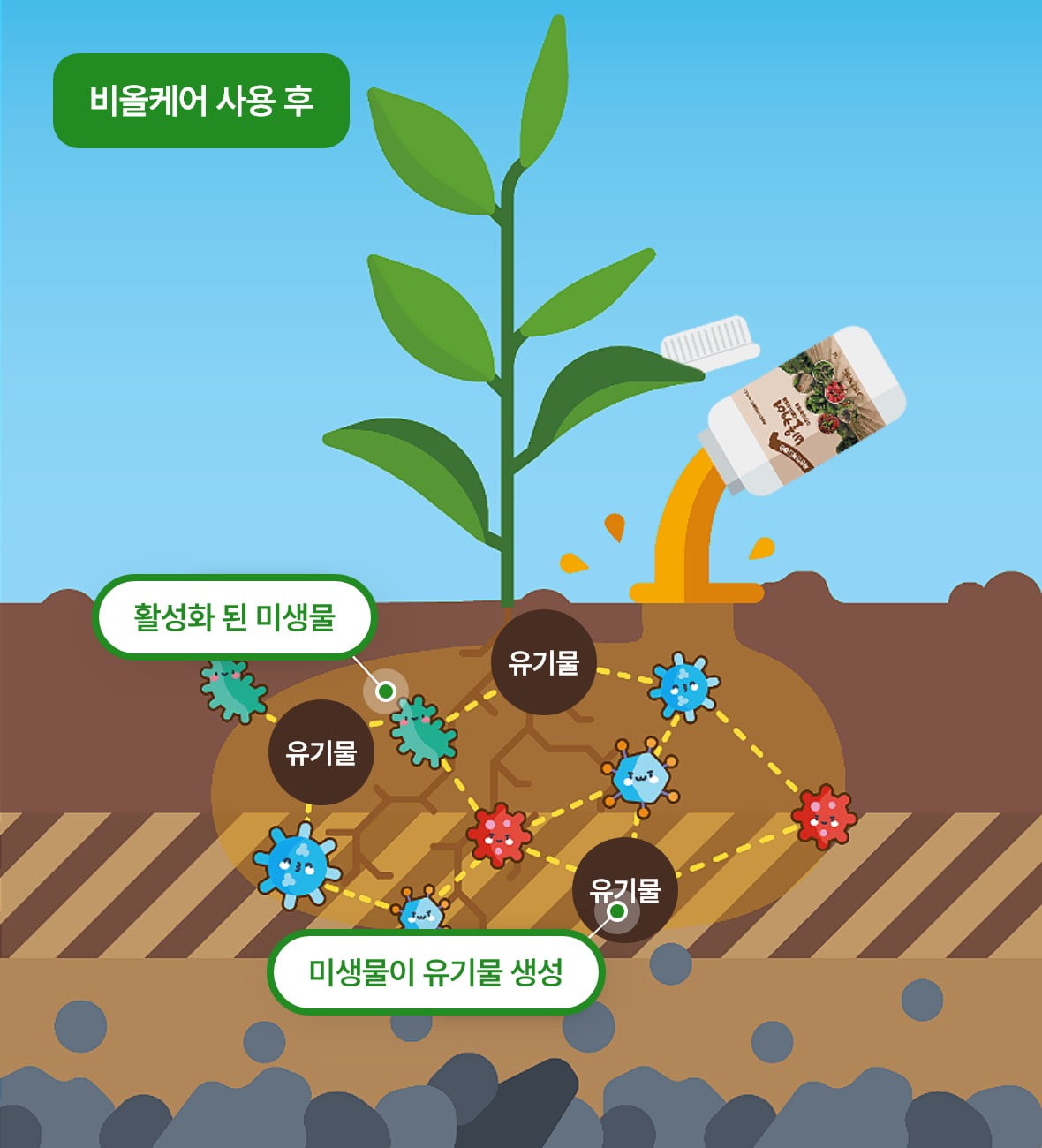 비올케어 사용 후