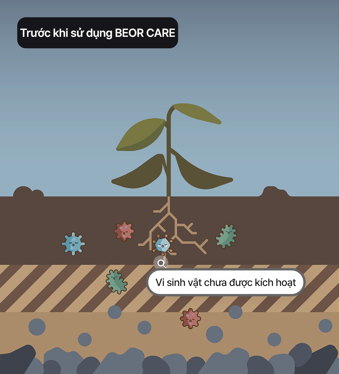 ﻿Trước khi sử dụng BEOR CARE